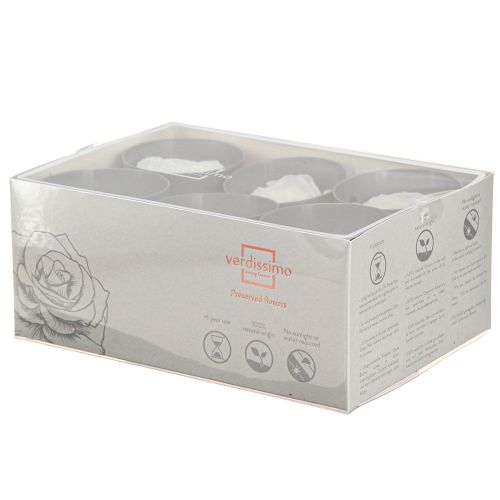 daiktų „Infinity Roses“ tikrų konservuotų rožių galvučių, baltų, Ø6 cm, 6 vnt.