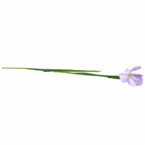 Floristik24 Dirbtinė violetinė rainelė 78cm
