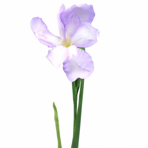 Floristik24 Dirbtinė violetinė rainelė 78cm