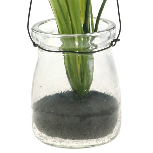 daiktų Iris alyvinė stiklinėje pakabinimui H21,5cm