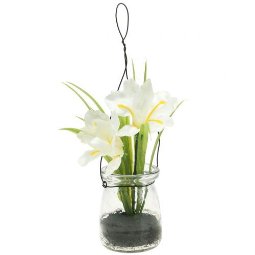 Floristik24 Irisas baltas stiklinėje pakabinimui H21,5cm