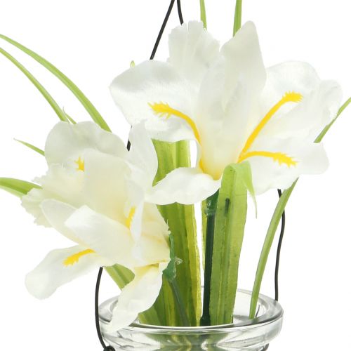 Floristik24 Irisas baltas stiklinėje pakabinimui H21,5cm