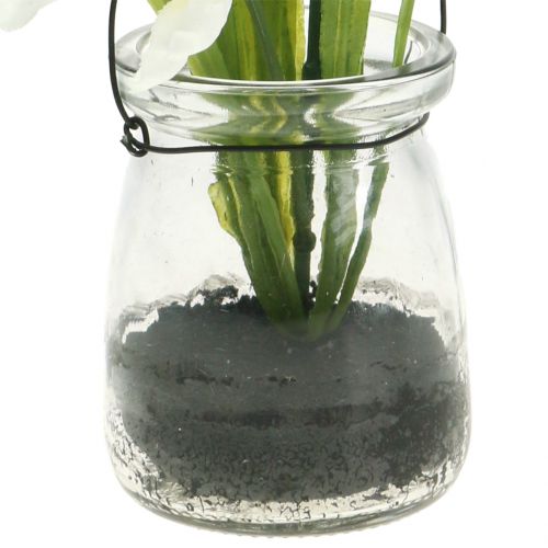 Floristik24 Irisas baltas stiklinėje pakabinimui H21,5cm