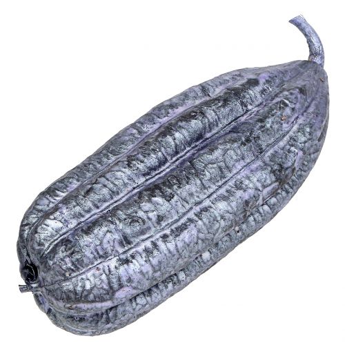 Floristik24 Luffa Fruit Violet 14cm – 20cm 10 vnt