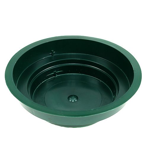 Floristik24 Junior dubuo 12cm žalias 25 vnt