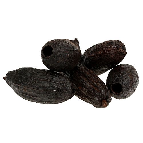 daiktų Kakaviniai vaisiai natūralūs 10-18cm 15 vnt