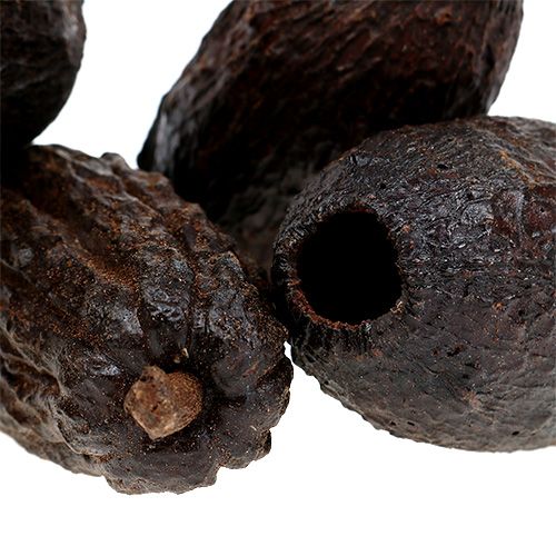 daiktų Kakaviniai vaisiai natūralūs 10-18cm 15 vnt