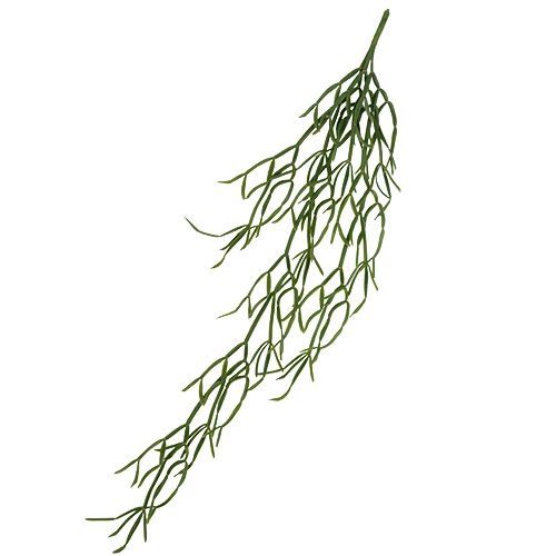 Kaktusų kabykla 115cm žalia