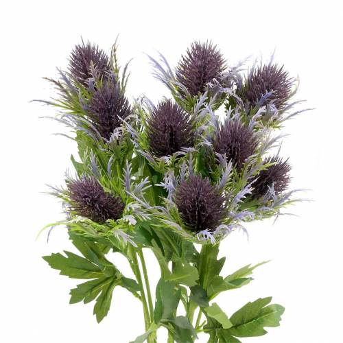 Floristik24 Dirbtinio erškėčio šaka mėlynai violetinė 68cm 3vnt
