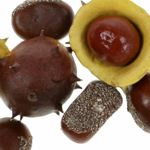 Floristik24 Dekoratyvinis kaštoninis kaštoninis asortimentas 5,5cm 24 vnt