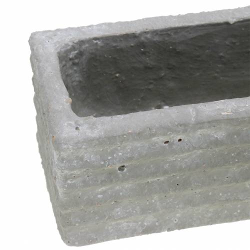 Floristik24 Augalų dėžė betonas šviesiai pilkas 30x7cm A6,5cm 2vnt