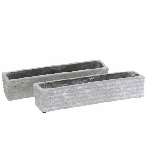 Floristik24 Augalų dėžė betonas šviesiai pilkas 30x7cm A6,5cm 2vnt
