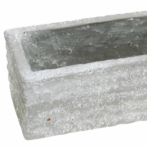 Floristik24 Augalų dėžė betonas šviesiai pilkas 40x8cm H6,7cm