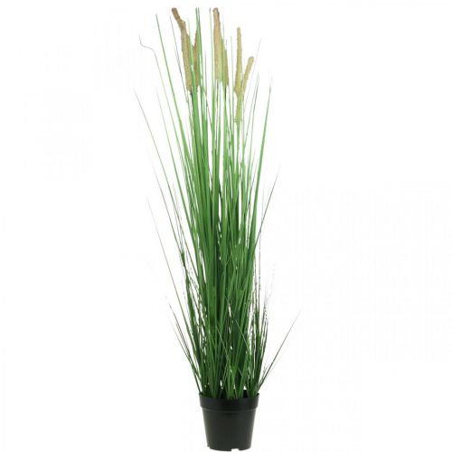 Floristik24 Dirbtinė viksva vazone su smaigaliais Carex dirbtinis augalas 98cm
