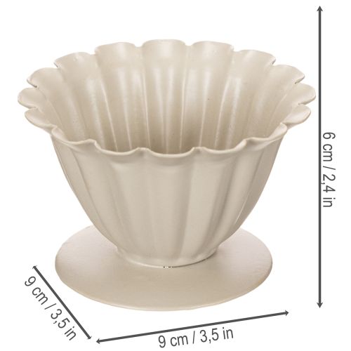 Dubuo, taurė, gėlės taurelė, kreminės spalvos dekoracija, 9 cm | Floristik24.lt