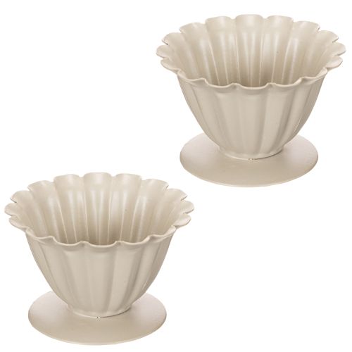 Dubuo, taurė, gėlės taurelė, kreminės spalvos dekoracija, 9 cm | Floristik24.lt