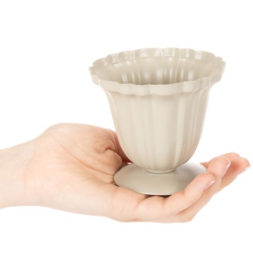 Dekoratyvinis dubuo, kreminės spalvos trofėjus, mažas, 10 cm | Floristik24.lt