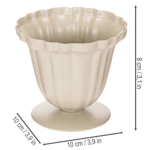 Dekoratyvinis dubuo, kreminės spalvos trofėjus, mažas, 10 cm | Floristik24.lt