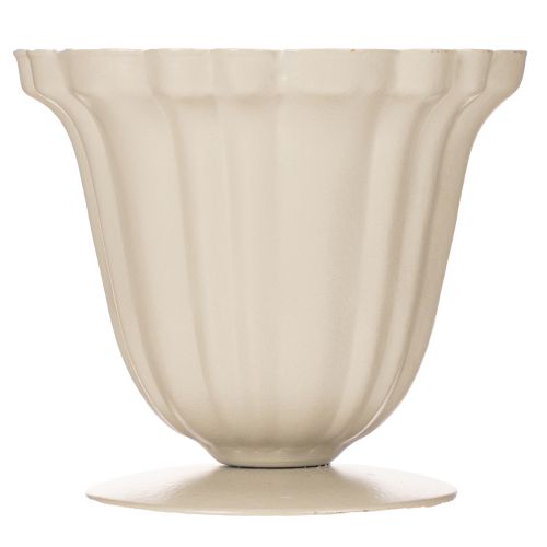 Dekoratyvinis dubuo, kreminės spalvos trofėjus, mažas, 10 cm | Floristik24.lt