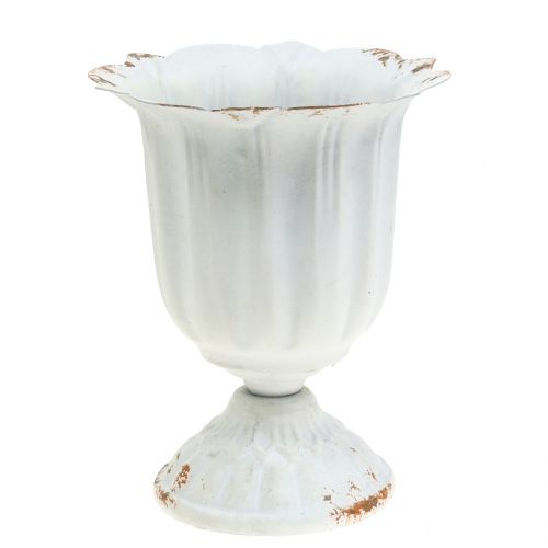 Floristik24 Antikvarinė taurė Rustic White Ø12cm H14cm