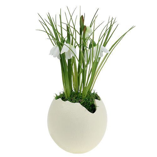 Floristik24 Keraminis kiaušinis atviras kremas H12cm 2vnt