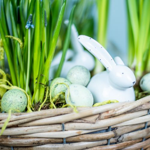 Floristik24 Keraminis triušis baltas 8,5cm 4vnt