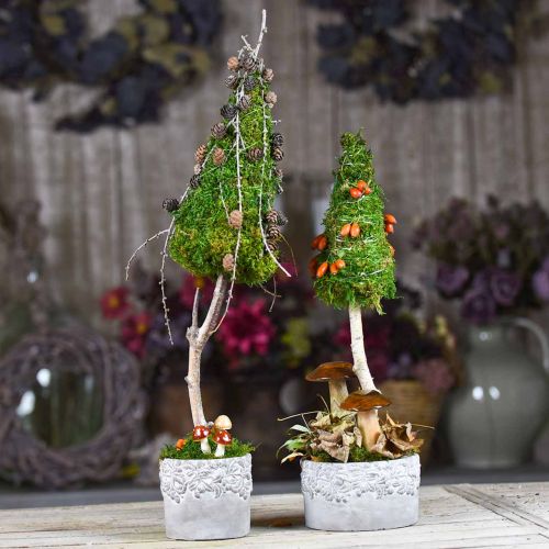 Floristik24 Keraminis indas, gėlių vazonas su ąžuolo dekoru, vazonas žalias/baltas/pilkas Ø13cm H11,5cm rinkinys iš 3 vnt.