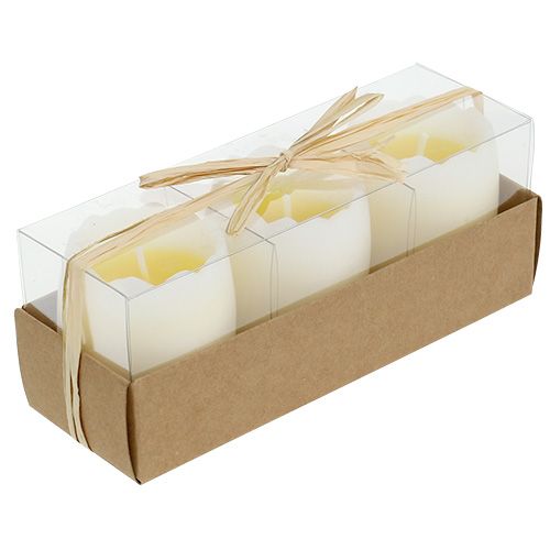 Floristik24 Žvakė kiaušinio geltonoje 5,5cm 3vnt