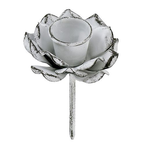 Floristik24 Žvakidės, gėlės formos, baltos, apdriskusios, Ø5,8 cm, aukštis 6,8 cm, 4 vnt.