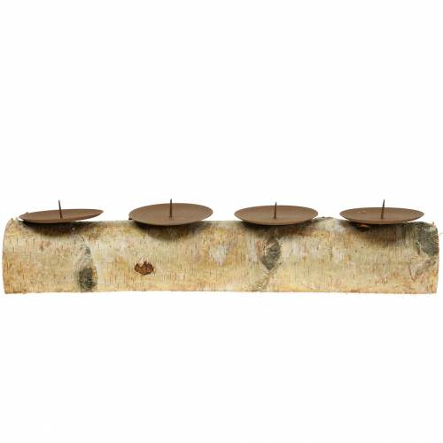 Floristik24 Žvakidė su 4 spygliukais beržo 40cm x 8cm H9cm