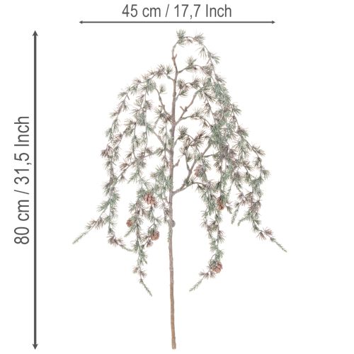  | Floristik24.lt