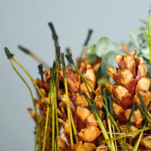 Floristik24 Pušies spygliai žali 400g
