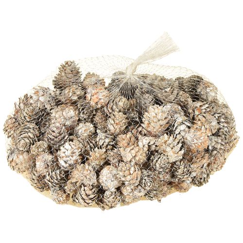daiktų Baltinti pušies kankorėžiai, mažų kankorėžių dekoracija tinklelyje, 2,5-3,5 cm, 500 g
