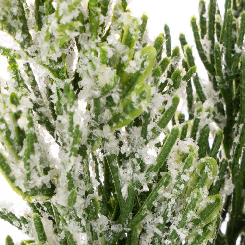 Dirbtiniu sniegu padengta pušies šaka gėlių kompozicijoms ir Advento dekoracijoms, 40 cm, 3 vnt. | Floristik24.lt