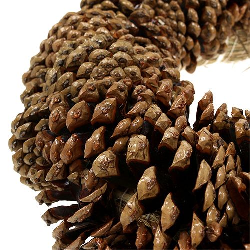 Floristik24 Pušies kankorėžių vainikas apvalus plokščias Ø30cm