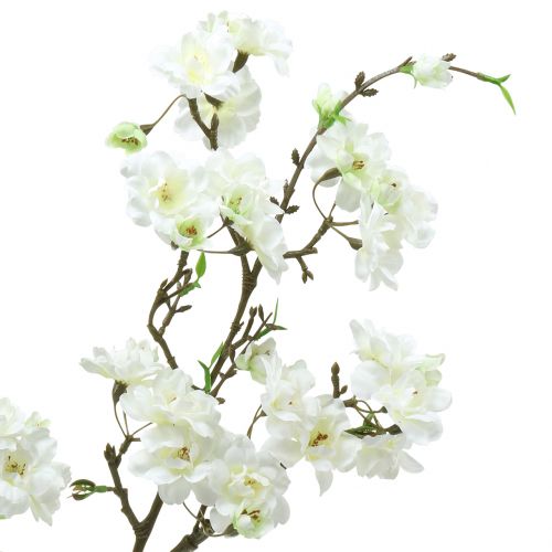 Floristik24 Vyšnių žiedo šakelė balta 105cm