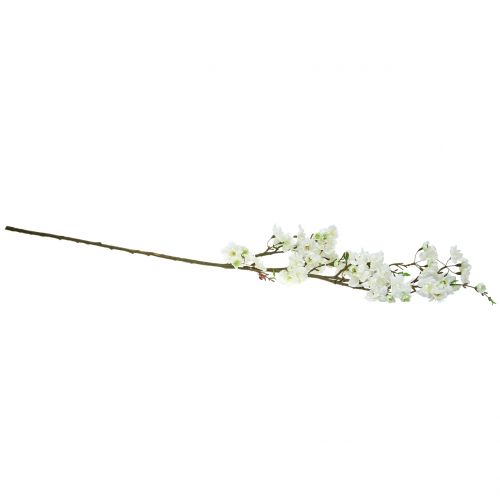 Floristik24 Vyšnių žiedo šakelė balta 105cm