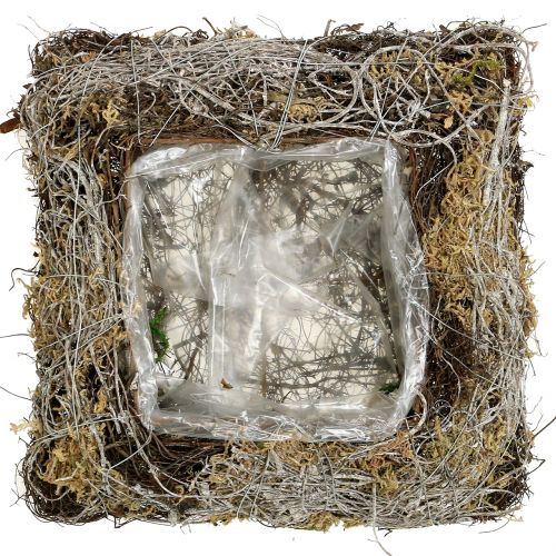 Floristik24 Pagalvėlės samanos, vynmedis 25cm x 25cm