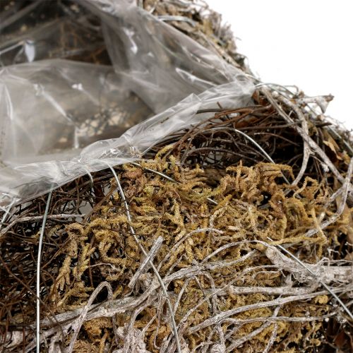 Floristik24 Pagalvėlės samanos, vynmedis 25cm x 25cm