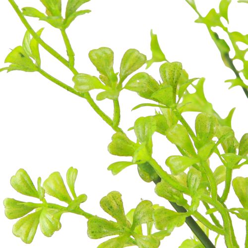 daiktų Dobilas Nykštukas Dobilas Dirbtiniai augalai žalios spalvos ant Pick 49cm 2vnt.