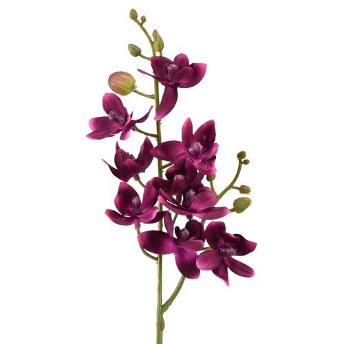 daiktų Maža orchidėja Phalaenopsis dirbtinė gėlė tamsiai violetinė 30cm