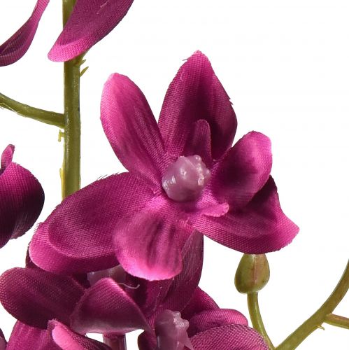daiktų Maža orchidėja Phalaenopsis dirbtinė gėlė tamsiai violetinė 30cm