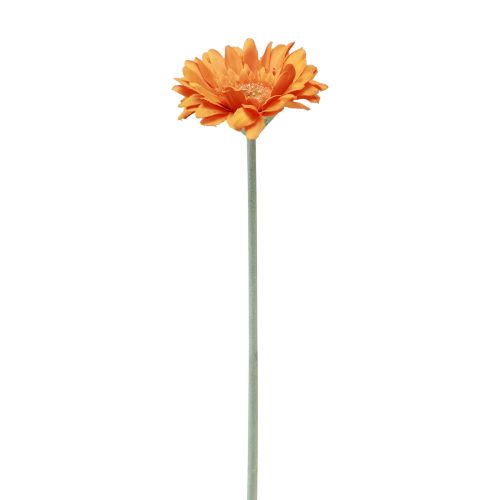 daiktų Dirbtinės gėlės Gerbera Orange 45cm