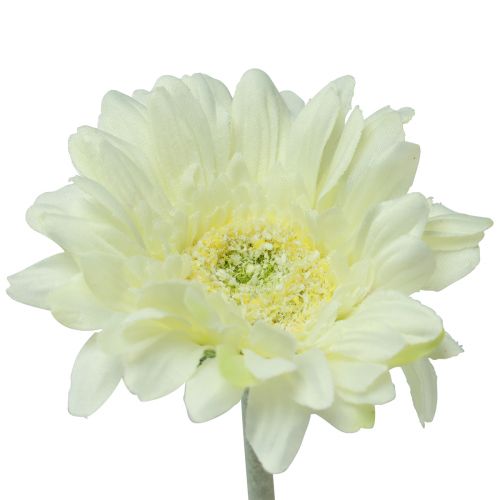 Floristik24 Dirbtinės gėlės Gerbera Balta 45cm