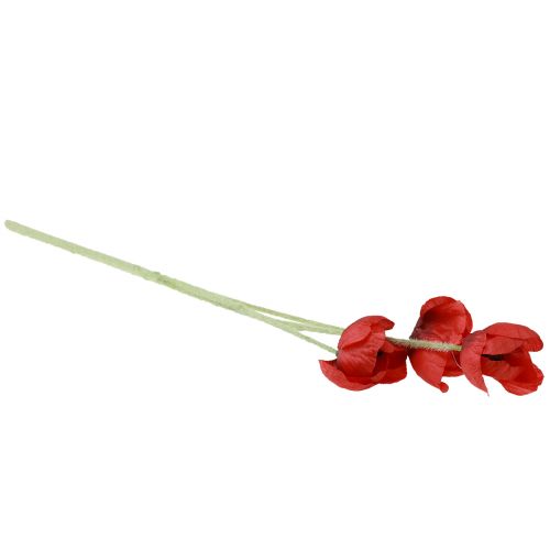 daiktų Dirbtinės gėlės aguonos raudonos 50cm