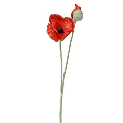 Floristik24 Dirbtinės gėlės aguonos raudonos 67cm