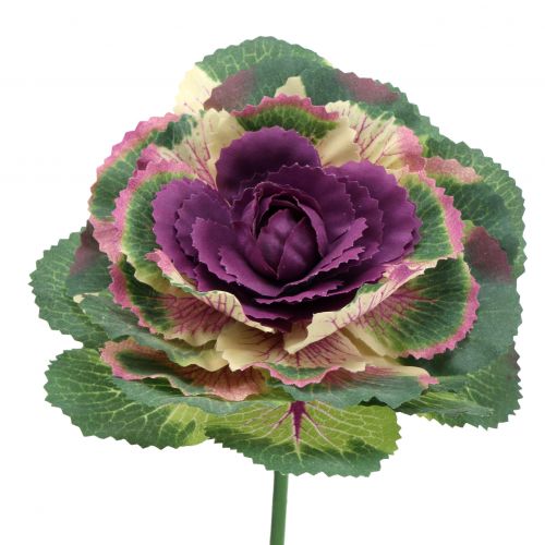 Floristik24 Dirbtinis kopūstas violetinis, žalias 25cm 6vnt
