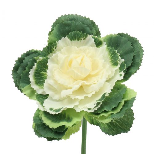 Floristik24 Dirbtinis kopūstas baltas, žalias 25cm 6vnt