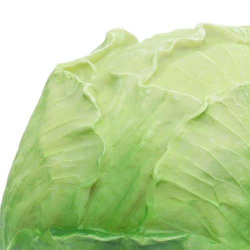 Floristik24 Baltasis kopūstas Ø16cm