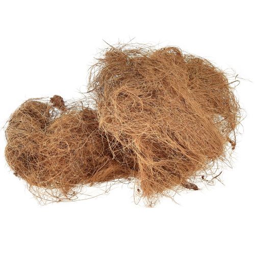 Floristik24 Kokoso pluošto natūralaus augalinio pluošto natūralaus pluošto amatų medžiaga 1kg